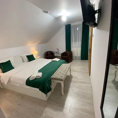 Pensiunea Tinelu Brasov Guest house 3*